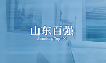 山东百强